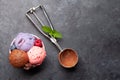 Berry, vanilla and chocolate ice cream sundae Royalty Free Stock Photo