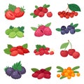 Berry vector berrying mix of strawberry blueberry raspberry blackberry and red currant illustration berrylike set