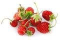 Berry wild strawberry with green leaves handful fresh strawberries Royalty Free Stock Photo