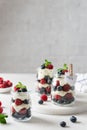Berry yogurt with fresh strawberries and blueberries in jars. Healthy breakfast parfait in glass jars. Copy space for text. Summer Royalty Free Stock Photo