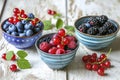 Berrylicious trio: Blueberries, red currants, and blackberries showcased in three bowls on a rustic white backdrop Royalty Free Stock Photo