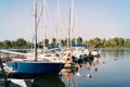 berth with sailboats and ships on river in front of trees in sunny yachts club