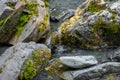 Bertha Creek in Turnagain Pass