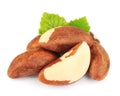 Bertholletia.Brazil nuts Royalty Free Stock Photo