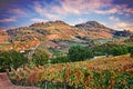 Bertinoro, FC, Emilia Romagna, Italy: landscape at dawn of the hills with vineyards