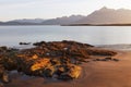 Berufjordur Fjord, Djupivogur Iceland