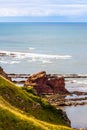 Berwickshire Coastal Path, Scotland Royalty Free Stock Photo