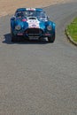 AC Cobra during Tour Auto on Burgundy narrow roads (vertical view)