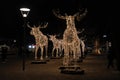 The moose parade at Berzelii park