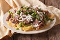 Beshbarmak dish: noodles with lamb and onion close-up on a plate Royalty Free Stock Photo