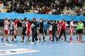 Besiktas MOGAZ HT and Dinamo Bucuresti Handball Match Royalty Free Stock Photo