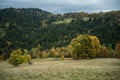 Beskid mountains in Zywiec Poland, Polish mountains and hills aerial drone photo Royalty Free Stock Photo