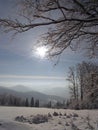 At winter time in Poland Royalty Free Stock Photo