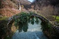 Besletsky Bridge, since the time of Queen Tamara, near Sukhumi Royalty Free Stock Photo