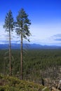 Bessie Butte Vista