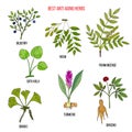 Best anti-aging herbs collection