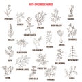 Best antispasmodic herbs collection Royalty Free Stock Photo