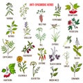 Best antispasmodic herbs collection. Part 2 Royalty Free Stock Photo