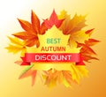 Best Autumn Discount Promo Advertisement on Yellow