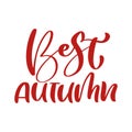 Best Autumn red vector calligraphy text. Hand drawn fall lettering phrase. Illustration for greeting card or postcard