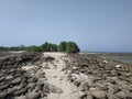 The best background gray could sky with dry soil and sea Royalty Free Stock Photo