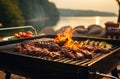 best barbecue for savoury meals without the hassle and crowds