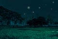 Best beautiful night of green grass meadow field and tree and ti Royalty Free Stock Photo