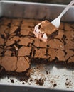 Best brownies dessert in a cake pan. High angle view of freshly baked brownies. Delicious chocolate cake Royalty Free Stock Photo