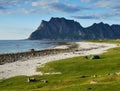 The best camping place in the world - Lofoten, Norway