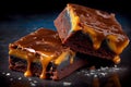 The Best Caramel Fudge Brownies with Sweet Topping