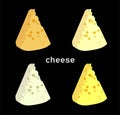 The best cheese. varieties of cheese slices. Stylish modern vector illustration