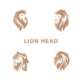 The Best Collection Set Strong Lion Head Illustration Vector Concept Golden Color