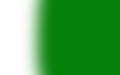 Best colour of Pakistani national flag white and green