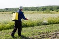 The best farmer Royalty Free Stock Photo