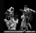 The best Flamenco Dance Drama : Carmen Royalty Free Stock Photo