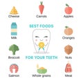 Best Food for Healthy Teeth Royalty Free Stock Photo