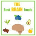 The best brain foods background