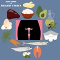 Best foods for healthy uterus vector illustration
