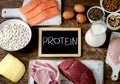 Best Foods High in Protein