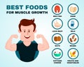 Best foods for muscle growth infographic Royalty Free Stock Photo