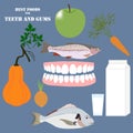 Best foods for teeth and gums vector illustration