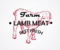 Best Fresh Meat. Farm. Lamb. Vector illustration logo