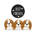 Best friends with cute pupies. Royalty Free Stock Photo