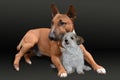 Best friends a miniature bull terrier and a havanese