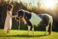 The best of friends. Shot of a cute little girl playing with her pony outside. Royalty Free Stock Photo