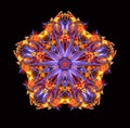 Best Great Kaleidoscope Purple 4