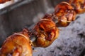 Best grilled chicken,street food,barbecue concept