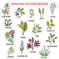 Best herbal remedies for treating constipation Royalty Free Stock Photo