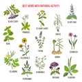 Best herbs with antiviral activity