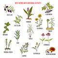 Best herbs with antiviral activity